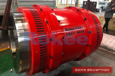 Gear Type Flexible Coupling