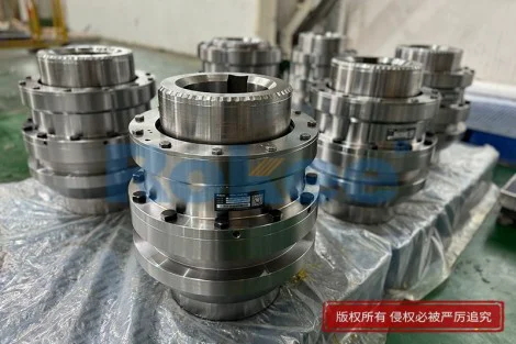 Flexible Gear Coupling
